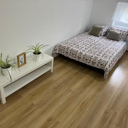 Green Apartment - Free Parking Κατοβίτσε Εξωτερικό φωτογραφία
