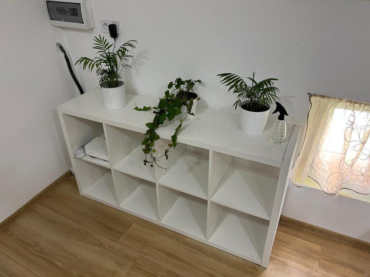 Green Apartment - Free Parking Κατοβίτσε Εξωτερικό φωτογραφία