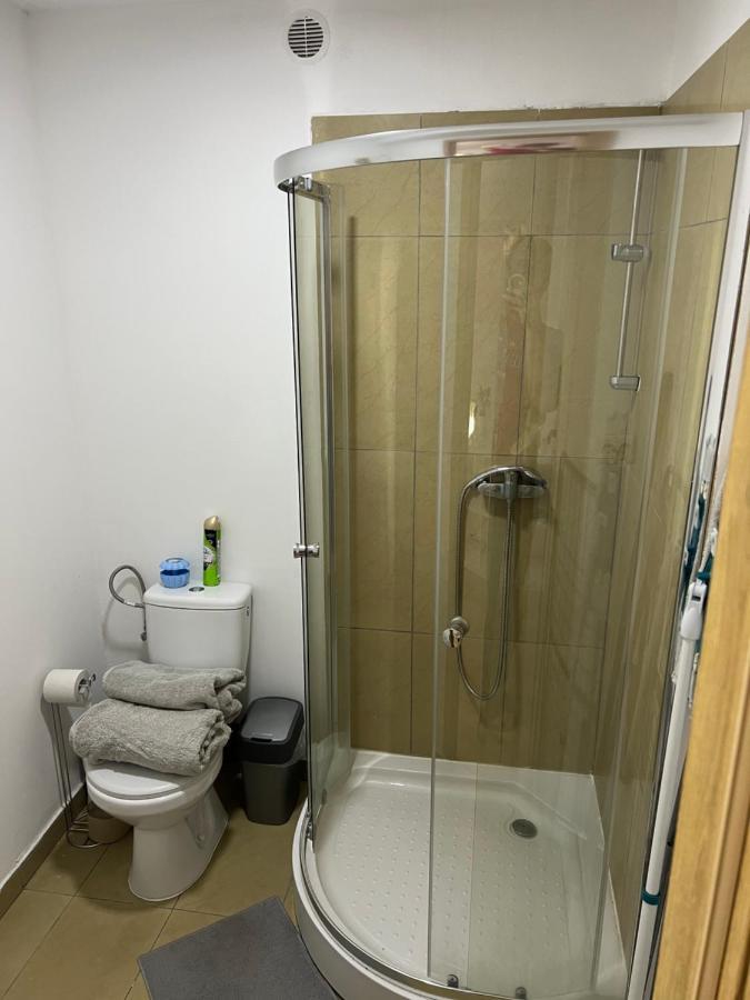 Green Apartment - Free Parking Κατοβίτσε Εξωτερικό φωτογραφία